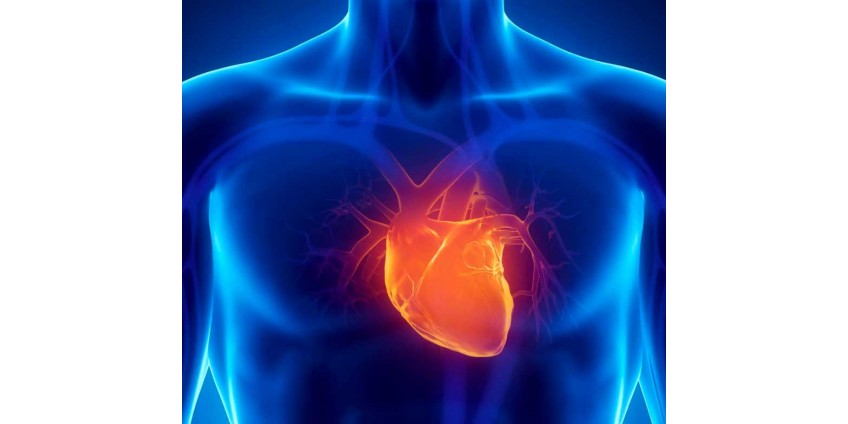 Heart Disease - How I beat High Blood Pressure with a Beetroot Supplement